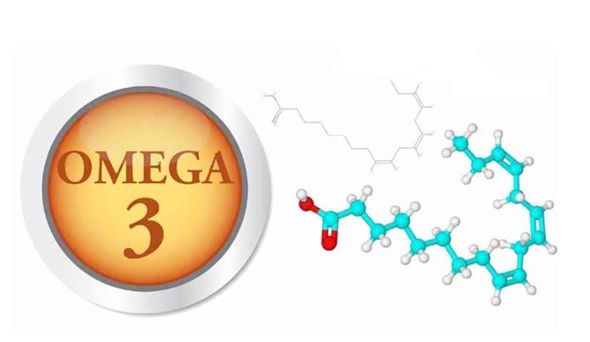 Axit béo Omega-3 là gì, có mấy loại omega-3?