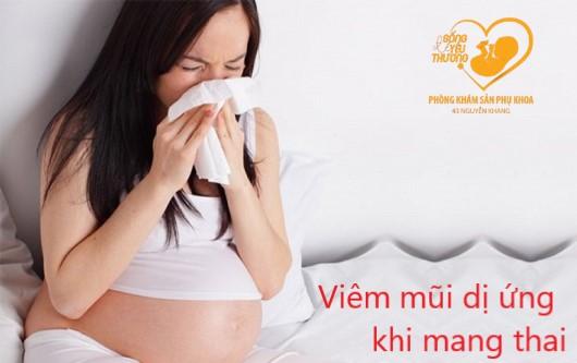 Cách phòng tránh viêm mũi dị ứng khi mang thai