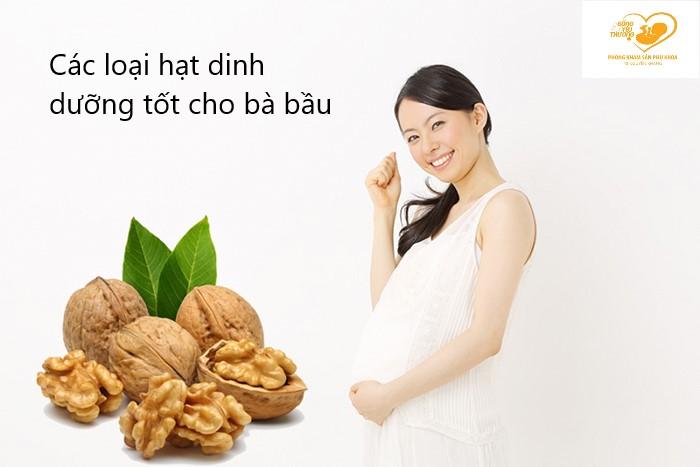 10 loại hạt dinh dưỡng cho mẹ bầu và thai nhi