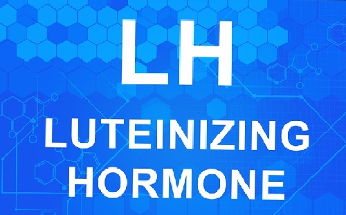 Hormone LH là gì? Có vai trò gì đối với cơ thể?
