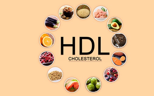 Chỉ số HDL trong máu có nghĩa là gì?