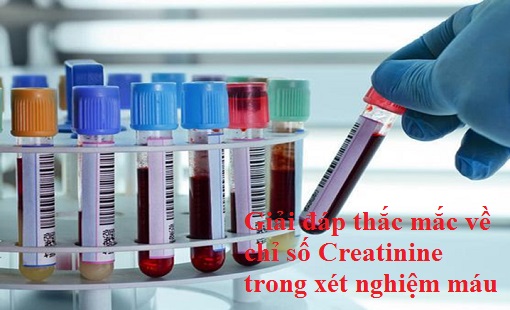 Giải đáp thắc mắc về chỉ số creatinine trong xét nghiệm máu