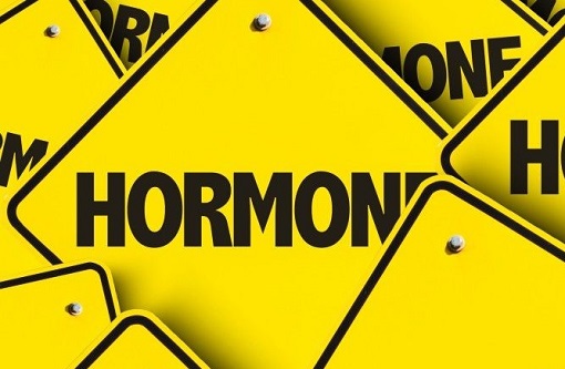 Hormone là gì? có bao nhiêu loại hormone