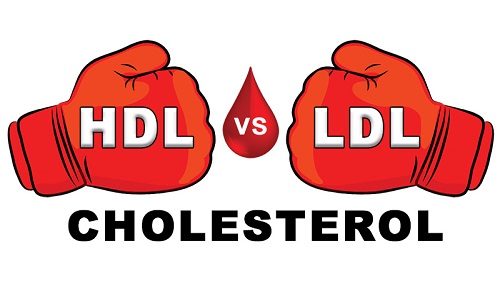 Tìm hiểu về chỉ số LDL cholesterol