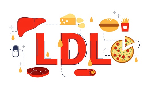 Tìm hiểu về chỉ số LDL cholesterol