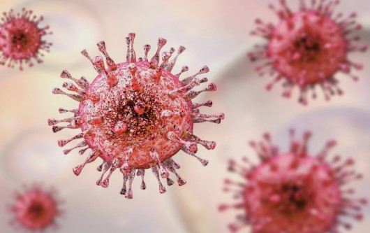 Virus cytomegalo (CMV) là bệnh gì?