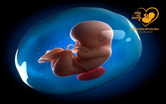 Tiểu đường thai kỳ - một trong những nguyên nhân hàng đầu gây đa ối