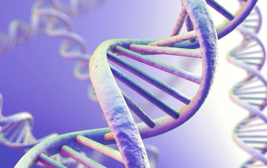 5 bệnh di truyền gen lặn phổ biến ở trẻ em