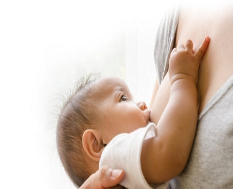 Hệ vi sinh vật từ sữa mẹ đến đường ruột của trẻ bằng cách nào?