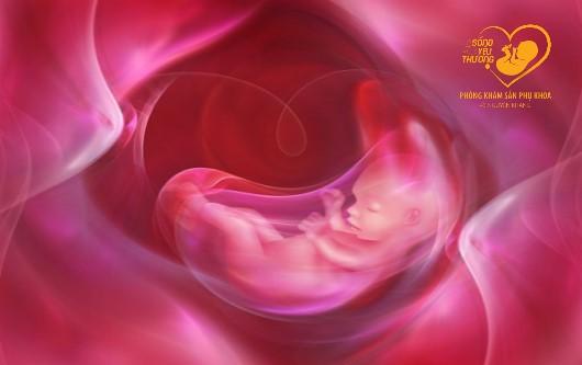 Tác dụng của nước ối trong thai kỳ