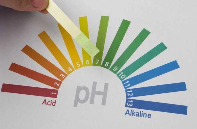 pH âm đạo mất cân bằng có nguy hiểm không?