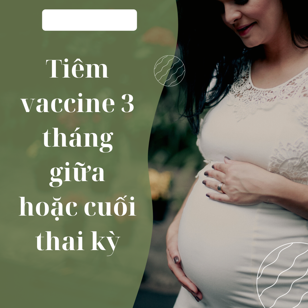 Tiêm vaccine 3 tháng giữa hoặc cuối thời kỳ mang thai 