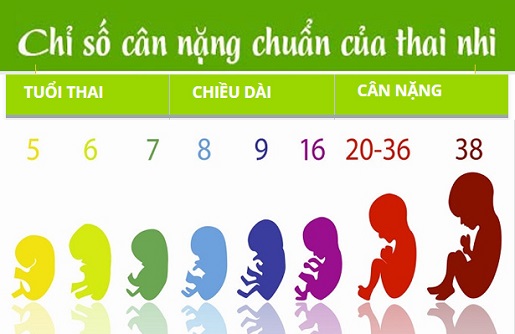 Mẹ cầu cần làm gì để thai nhi đạt cân nặng chuẩn ?