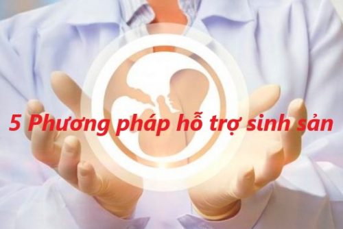 5 phương pháp hỗ trợ sinh sản phổ biến nhất hiện nay