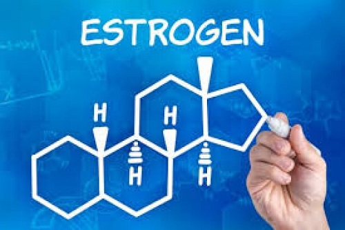 Tác dụng của hormone sinh dục nữ – hormone Estrogen