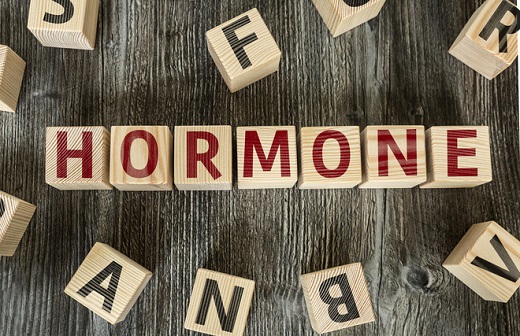 Hormone là gì? Các loại hormone sinh dục nữ