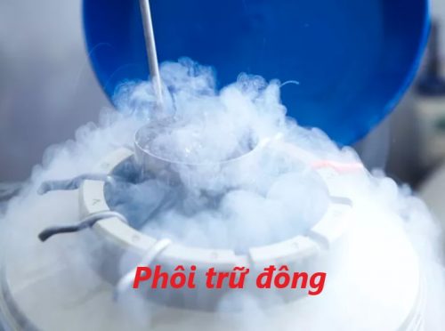 Phôi trữ đông lạnh lâu có ảnh hưởng đến chất lượng không ?