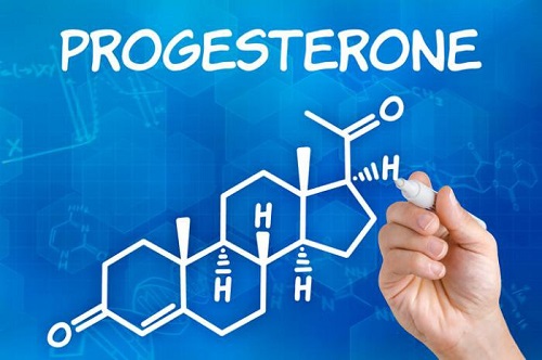 hormone progesterone hormone sinh dục nữ quan trọng