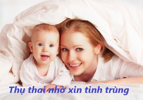 Phương pháp thụ thai nhờ xin tinh trùng