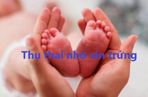 Phương pháp thụ thai nhờ xin trứng – Bạn đã biết