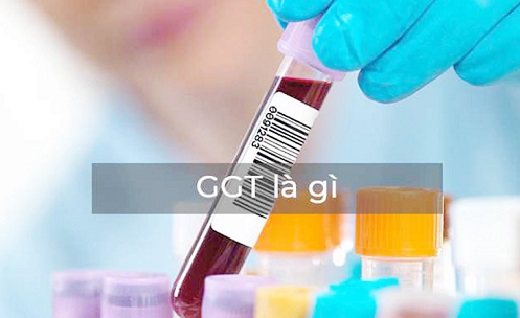 Chỉ số GGT trong xét nghiệm máu là gì?