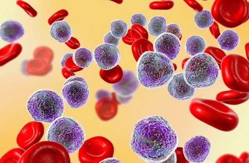 Chức năng của tế bào bạch cầu – chỉ số trong xét nghiệm máu