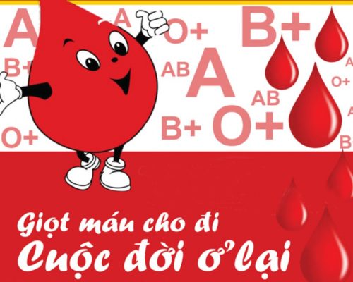 Quy trình hiến máu nhân đạo