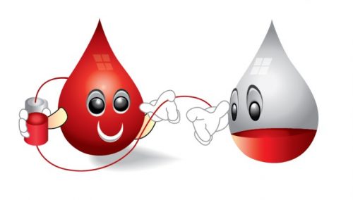 Truyền nhầm nhóm máu thì điều gì sẽ xảy ra?