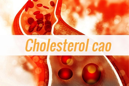 Cholesterol cao có làm sao không?