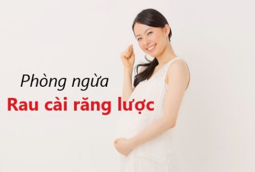 Làm sao để phòng ngừa bệnh rau cài răng lược ?