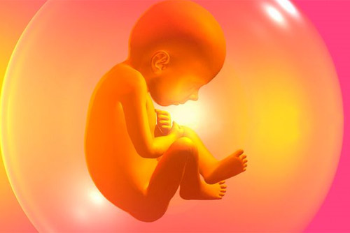 Tìm hiểu về tình trạng thai chậm phát triển trong tử cung