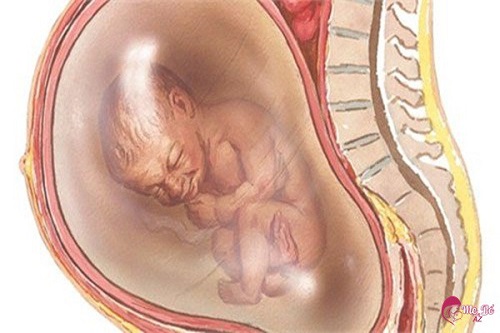 Các biện pháp điều trị thai chậm tăng trưởng trong tử cung