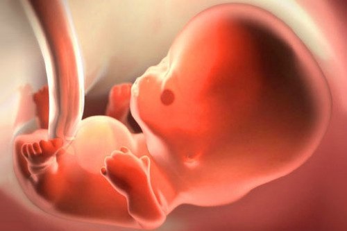 Những biến chứng của thai chết lưu đối với người mẹ