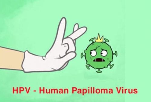 Virus HPV gây bệnh gì nguy hiểm cho con người?