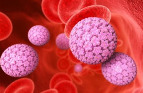 Virus HPV có gây ra ung thư không?