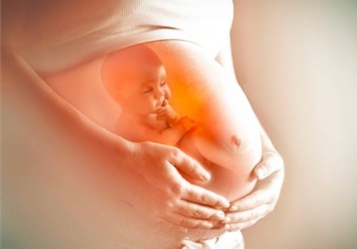 Nước ối có vai trò như thế nào đối với sự phát triển của thai nhi ?