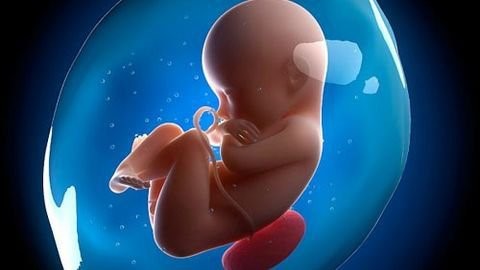 Khám phá những chuyển động của thai nhi trong bụng mẹ