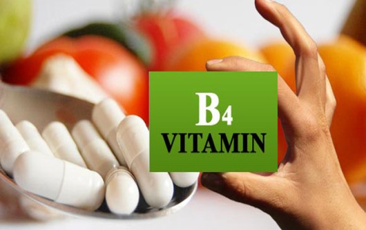 Vai trò của vitamin B4 và gợi ý một số thực phẩm giàu vitamin B4
