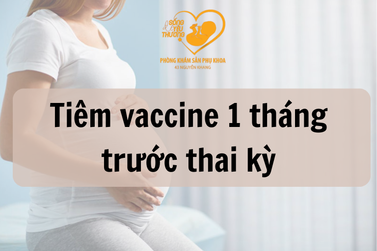 Trước khi mang thai một tháng nên hoàn thành 3 mũi tiêm vaccine HPv và viêm gan B