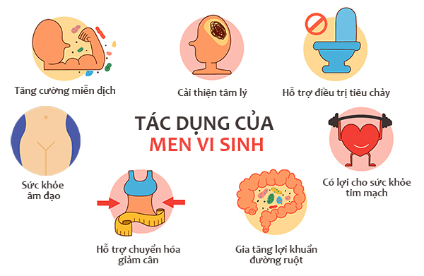 Lợi ích của việc bổ sung men vi sinh