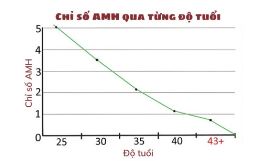 chỉ số AMH cao