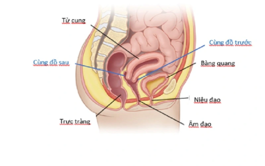 rách cùng đồ, ra máu sau quan hệ, rách cùng đồ sau quan hệ