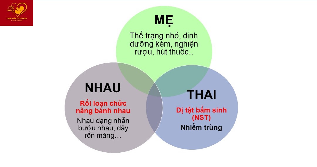 thai chậm tăng trưởng