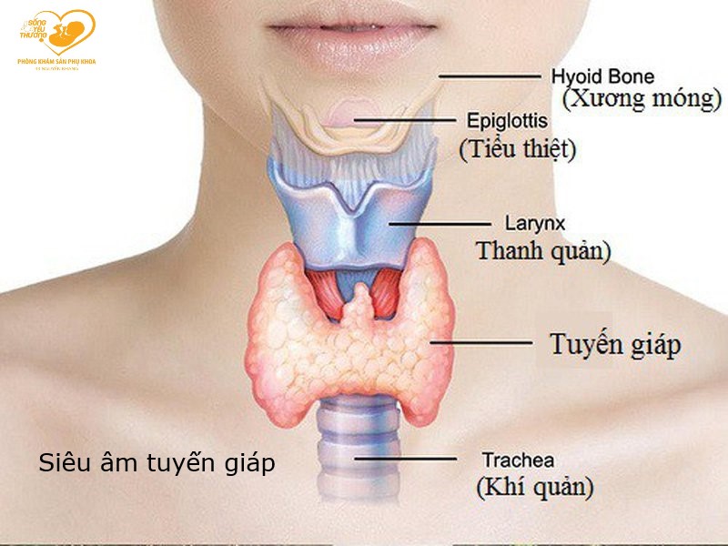 xét nghiệm tuyến giáp